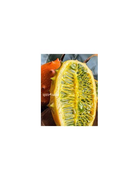 20 Seeds of Kiwano (Cucumis metuliferus) - African Fruit with Melon Picos