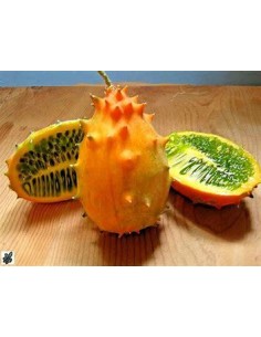20 Semillas de Kiwano... 2