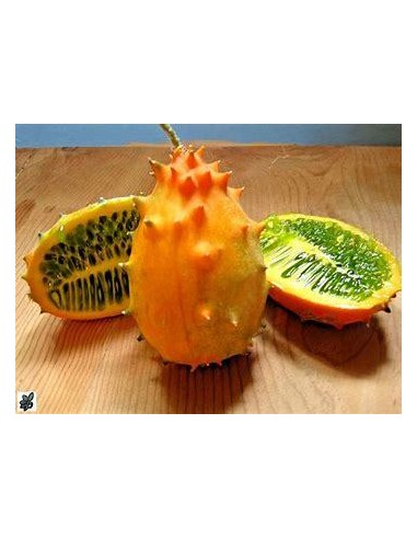 20 Seeds of Kiwano (Cucumis metuliferus) -...