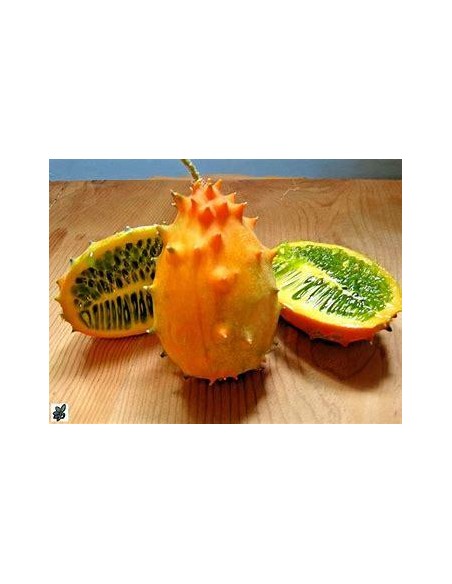 20 Seeds of Kiwano (Cucumis metuliferus) - African Fruit with Melon Picos