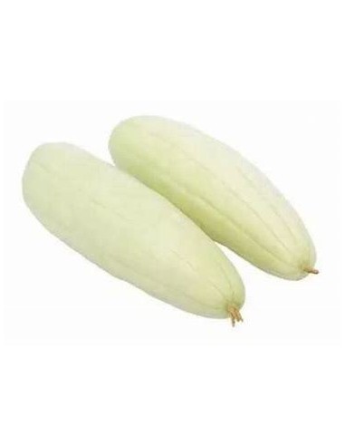 20 SEEDS OF MEXICAN WHITE CUCUMBER (CUCUMIS SATIVUS) RARE CUCUMBER CRIOLLO