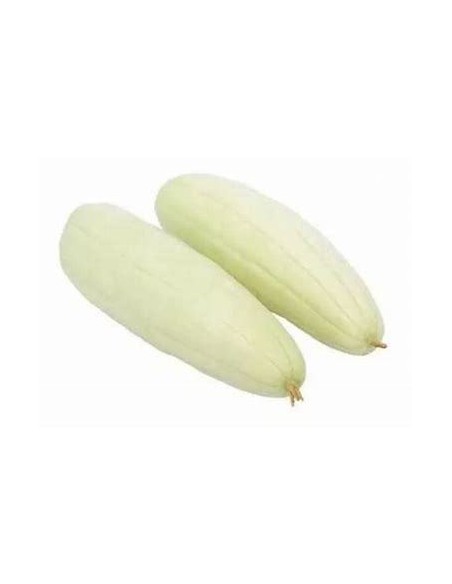20 SEMILLAS DE PEPINO BLANCO MEXICANO (CUCUMIS SATIVUS) RARO PEPINO CRIOLLO