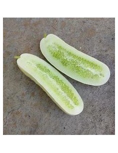 20 SEEDS OF MEXICAN WHITE... 2