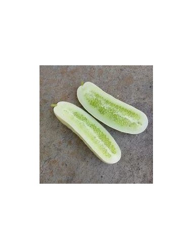 20 SEMILLAS DE PEPINO BLANCO MEXICANO (CUCUMIS...