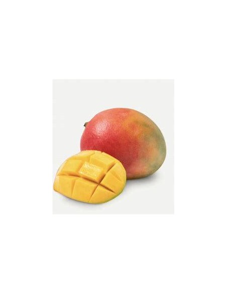 1 Arbol de Mango ''Criollo'' Porta injertos - (Mangifera indica) desde semilla