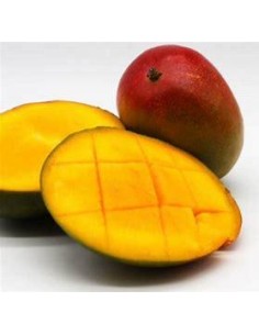 1 Arbol de Mango... 2