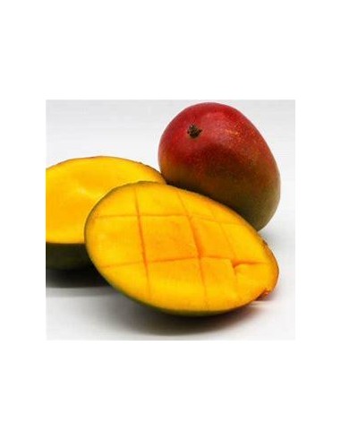 1 Arbol de Mango ''Criollo'' Porta injertos -...