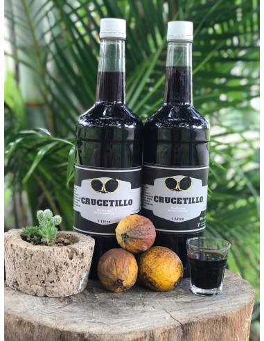 1 Crucetillo Medicinal Tree - Southern Mexico Medicinal plants availablefor online purchases with THE KING OF PLANTS MEXICO