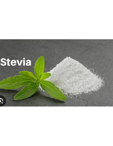 2 Plants of Stevia rebaudiana Morita II - Sale of real Stevia plants - Buy and sell shipments to all Mexico.
