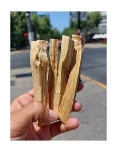 1 Arbolito de Palo santo...