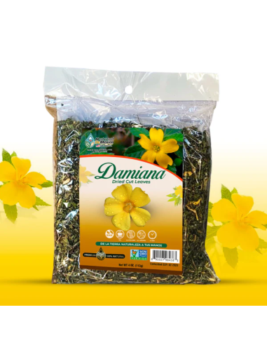 1 Damiana plant (Turnera diffusa) yellow...