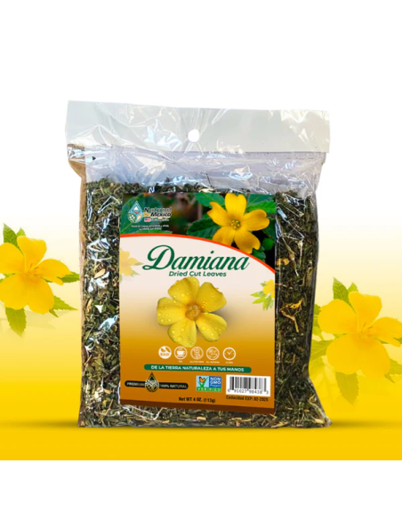 1 Planta de Damiana (Turnera diffusa) flores amarilla y medicinales - Hierba del venado, té Mexicano real