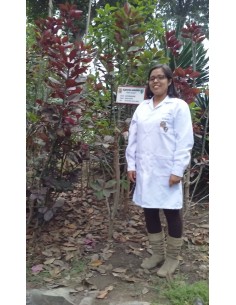 1 Arbolito de Lechero... 2