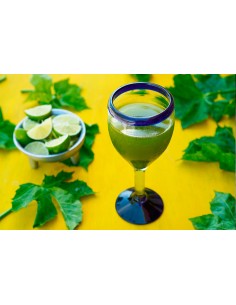 1 Arbolito de Chaya maya -... 2