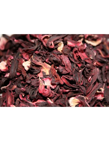 20 Roselle Plant seeds (Hibiscus sabdariffa) Grow your own jamaica Plant now! Order here