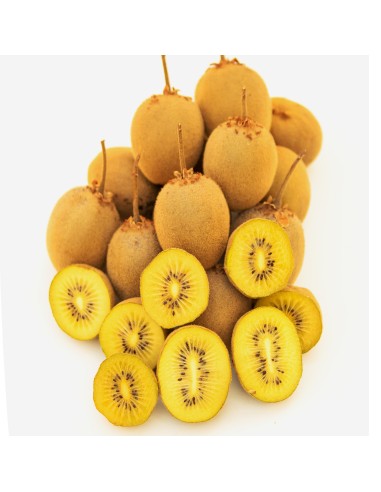 1 Yellow Kiwi Tree ''Golden kiwi'' Actinidia...