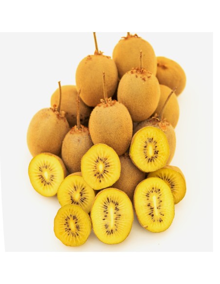 1 Arbolito de Kiwi Amarillo ''Golden kiwi'' Actinidia chinensis Vivero de venta de Kiwi en Mexico