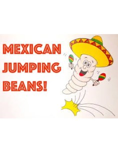 500 Frijolitos Saltarines...