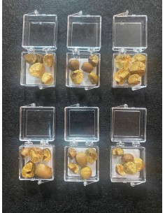 4 Cajas con 5 Frijolitos...