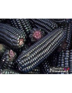 25 SEMILLAS DE MAIZ MORADO...