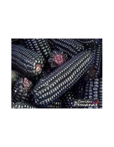 Corn Seeds - 25 PERU PURPLE CORN SEEDS FOR CHICHA - Online Nursery