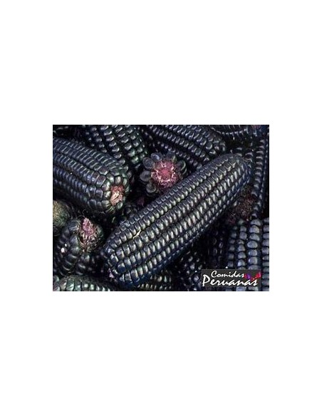 Corn Seeds - 25 PERU PURPLE CORN SEEDS FOR CHICHA - Online Nursery