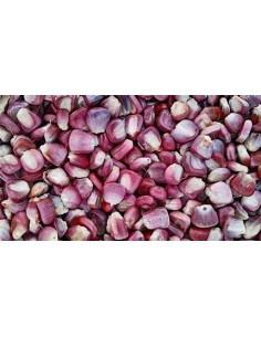 20 Semillas de Maiz rojo... 2