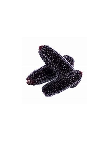 Corn Seeds - 200 Peruvian Purple Corn Seeds -...