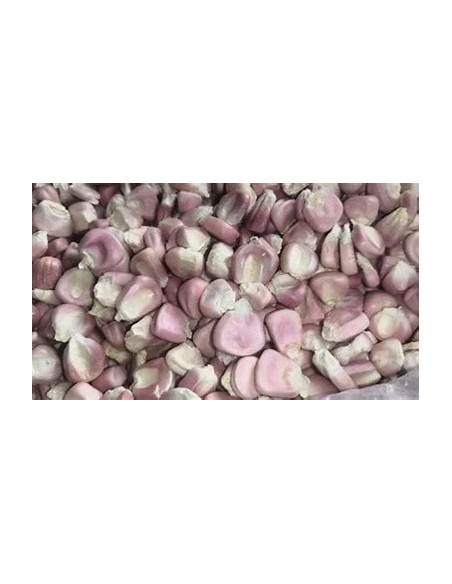 50 Semillas de Maiz pozolero rosa de jalisco - Vivero por Internet