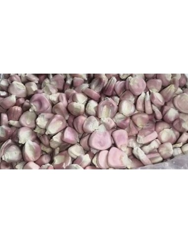 1 Kg Maiz Pozolero ''Rosa'' Cacahuacintle Jalisco - Venta de Maiz criollo