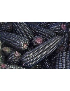 1 Kg Maiz Morado...