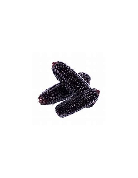 1 Kg ''Peruvian'' Purple Corn Peruvian chicha corn Gourmet quality