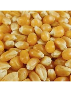 1 Kg Palomero ''Guanajuato...