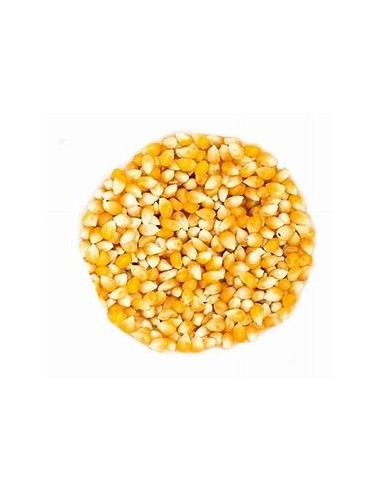 1 Kg Maiz Palomero ''Guanajuato gold'' criollo...