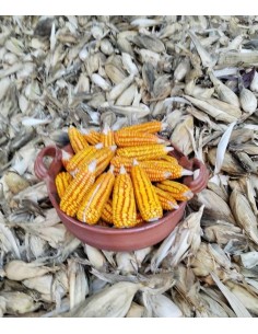 30 Corn Bolita Oaxaca...