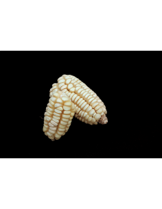 30 Corn Bolita Oaxaca...