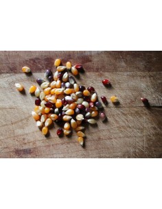 100 ''Multicolor'' popcorn... 2