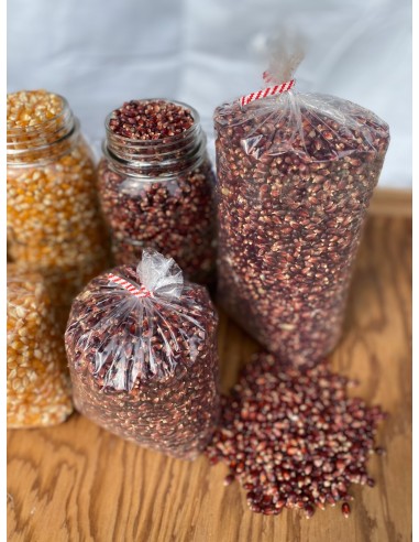 200 Seeds of Popcorn ''Rojo'' - Popping corn - Maiz reventador