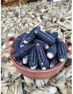 30 Corn Bolita Oaxaca...