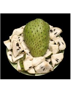 25 Semillas de Flor de Jamaica (Hibiscus sabdariffa) Cultivo en casa de Jamaica - Compra semillas ahora.