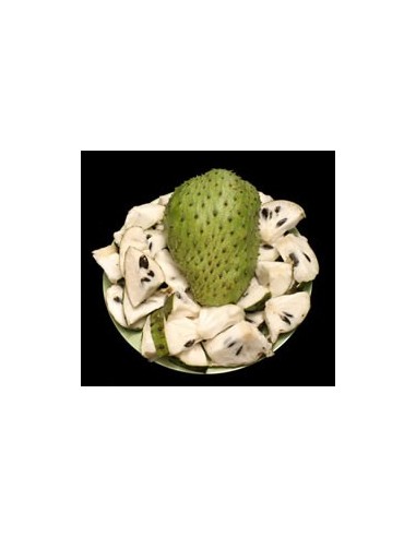 20 Guanabana - Sour sop fruit - Seeds for sale From Mexico. Anti cancerigen tree