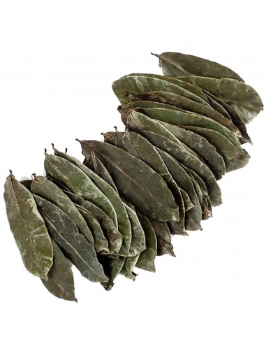 50 Hojas Secas De Graviola - Hojas de Arbol de la Guanabana Anti Cancer Medicinal The greens shop