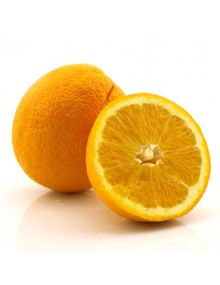 Washington navel Orange - Navel selection from Mexico (Citrus sinensis) grafted live tree Washington navel Orange - Navel selection from Mexico (Citrus sinensis) grafted live tree