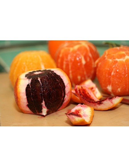 1 Naranja Cara cara Roja (Citrus sinensis ) Naranja pulpa Roja Unica en Mexico - Ombligueña, Ombligo rojo