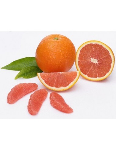 1 Naranja Cara cara Roja (Citrus sinensis ) Naranja pulpa Roja Unica en Mexico - Ombligueña, Ombligo rojo