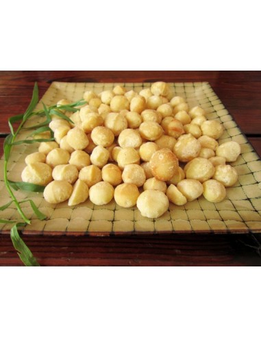 1 Macadamia Nut tree - Macadamia tetraphylla Baby tree ready to plant. Order now Exotic plants