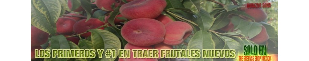 Frutales NO tropicales